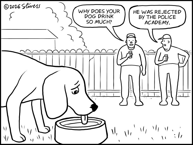 Why does your dog drink so much